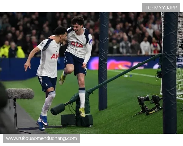 水晶宫队在英超联赛中的表现与未来展望