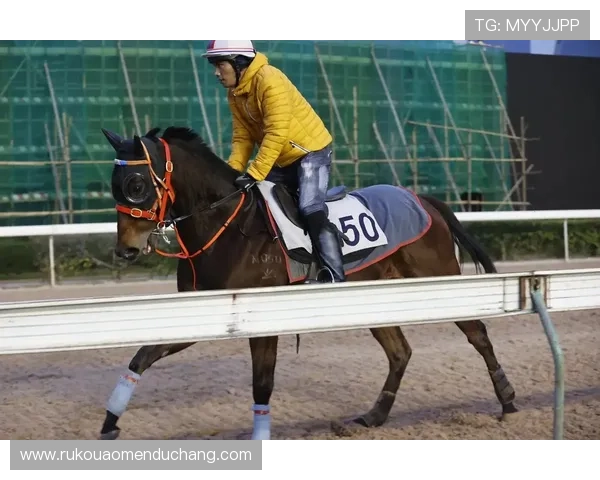 澳门赛马的规则与比赛流程详解，帮助新手快速了解赛马的基本知识