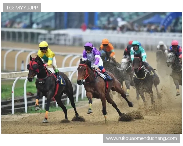 2024澳门赛马日程全新更新，详细介绍各场比赛时间及精彩赛事预告