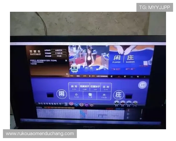 下载安装百家乐路单电脑版软件实现精准分析提升赢钱概率