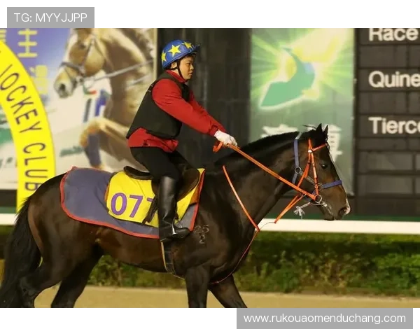 全面解析澳门赛马排位表，最新资料揭秘赛季亮点与竞争格局