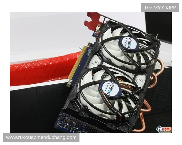 探索大阳城游戏的多样玩法与策略技巧，成为游戏高手不是梦