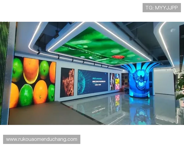 汇彩控股有限公司香港上市后企业运营模式优化与财务管理策略